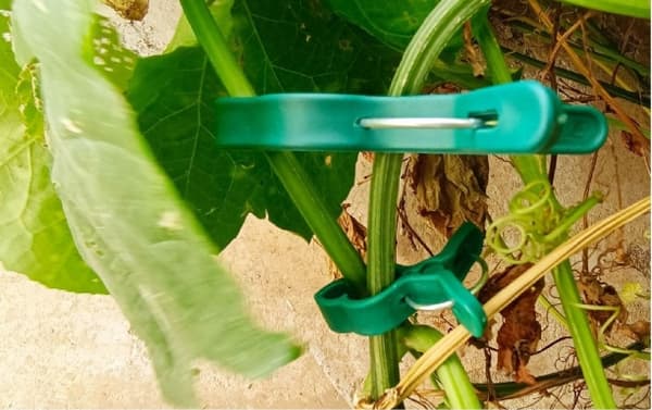 Haveclips til tomatplanter 10-pak stor grøn størrelse[HK] Large