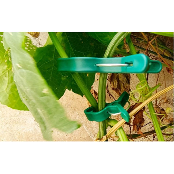 Tomatplantklämmor - 10-pack, Grön[HK] Small