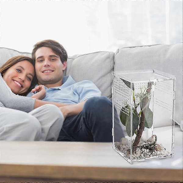 Transparent avelslåda med terrarium för trädlevande djur [HK]