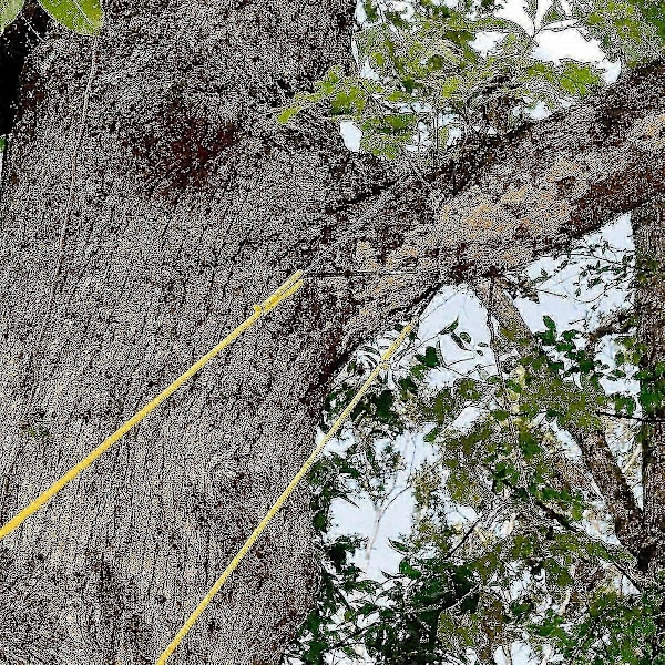 \"48' Portabel Högt Upp Träd Handrep Kedjesåg Blad På Båda Sidor\"[HK]