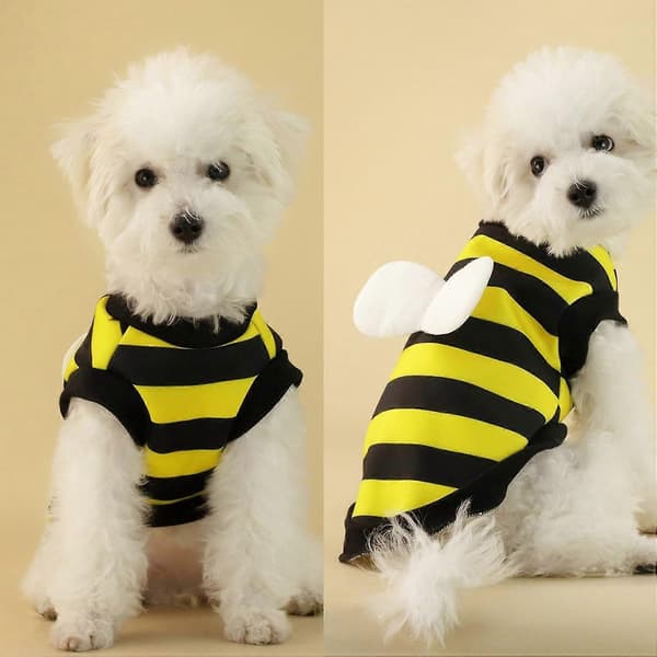Yndig bi-tema blød to-benet pullover til hunde[HK] Yellow And Black L