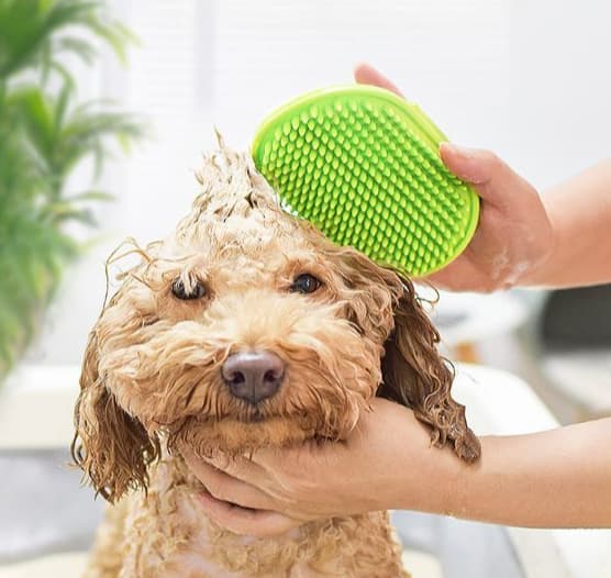 Potebørstesæt til hunde, katte og heste - Bløde børster, masserende tænder[HK]