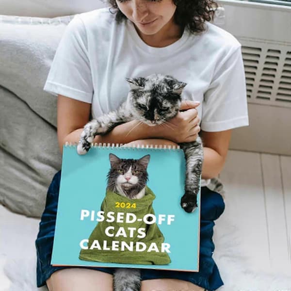 2024 ÄRTYNEIDEN KISSOJEN KALENTERI [HK]