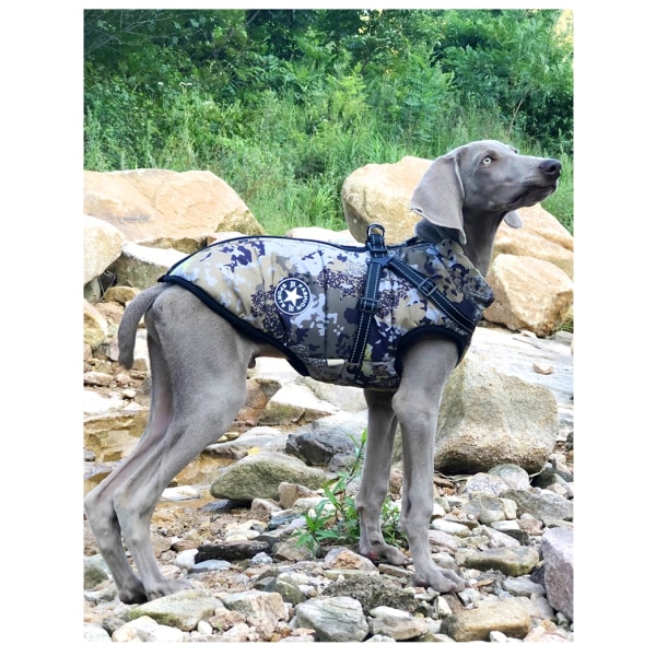Stor hundjacka med sele Vintervarma hundkläder för Labrador Vattentät Big Dog Coat Chihuahua French Bulldog Outfits Kamouflage[HK] Kamouflage 2XL