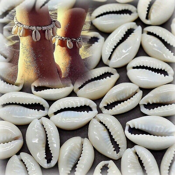 HKK  100 stk. Bulk Cut Sea Shell Cowrie Cowry Shells Strand Diy Smykker Tilbehør Dekor