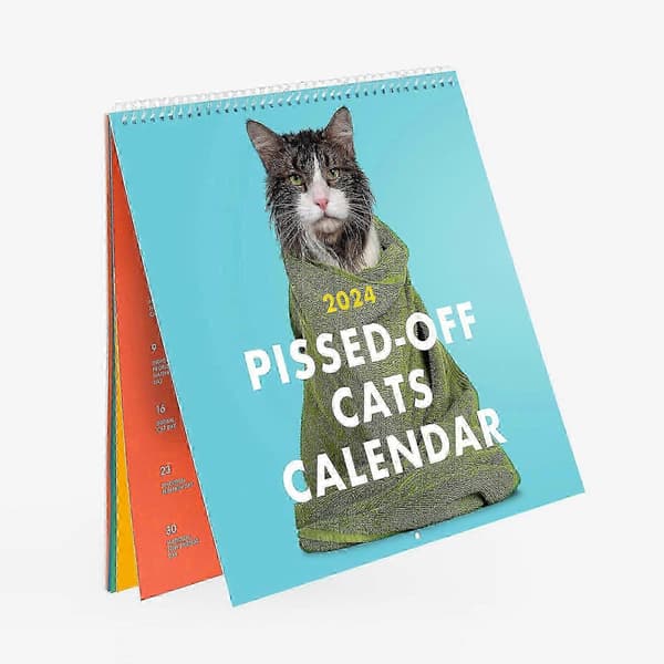 2024 PISSED-OFF CATS KALENDER [HK]