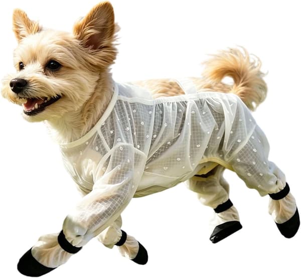 Hundebody - Elastisk kjæledyrbody med D-ring og justerbar stropp | Vanntett hundeoverall, for daglig pendling, turgåing, utendørs T[HK] White