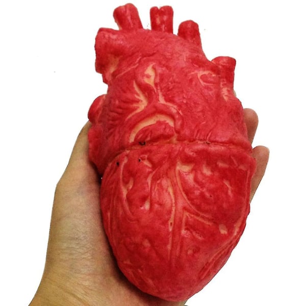 Fake Human Heart Latex Life Size Heart Bloody Horror Rekvisitter til Halloween[HK]