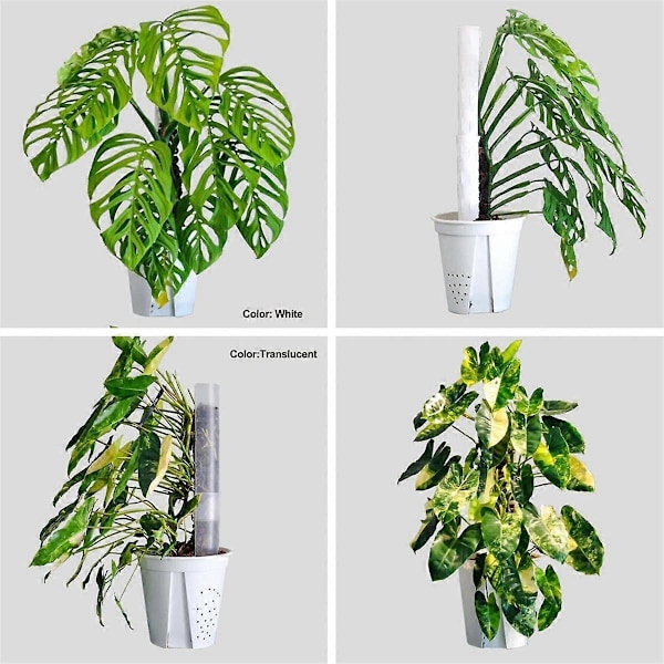 4 stk. 43 cm Plastikk mosepinne for planter Monstera, Spesielt designet for klatreplanter, Stac[HK] Transparent