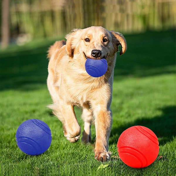 Hundeleker Solide baller Gummi tyggeleke for hunder Premium solid bitebestandig ball[HK] Red