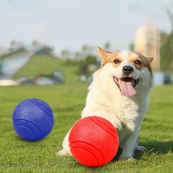 Hundelegetøj Solide Bolde Gummi Tyggelegetøj til Hunde Premium Solid Bidebestandig Bold[HK] Red