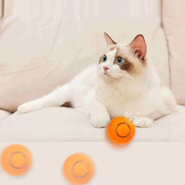 Gravitationel Intelligent Rullende Bold Kæledyr Kat Legetøjsbold Bidresistent Elastisk Bold Drille Kat Automatisk Hoppebold[HK] Orange