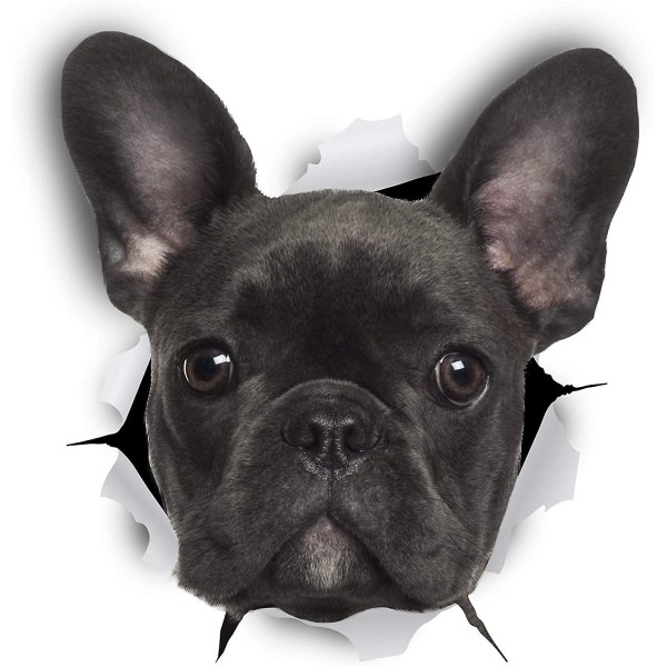 3D-veggklistremerker til hunder - 1 pakke - Morsomme dekorative klistremerker - Svarte klistremerker for fransk bulldoghund - Kjøleskap - Toalett - Soverom - Bil - Kjøleskap([HK])