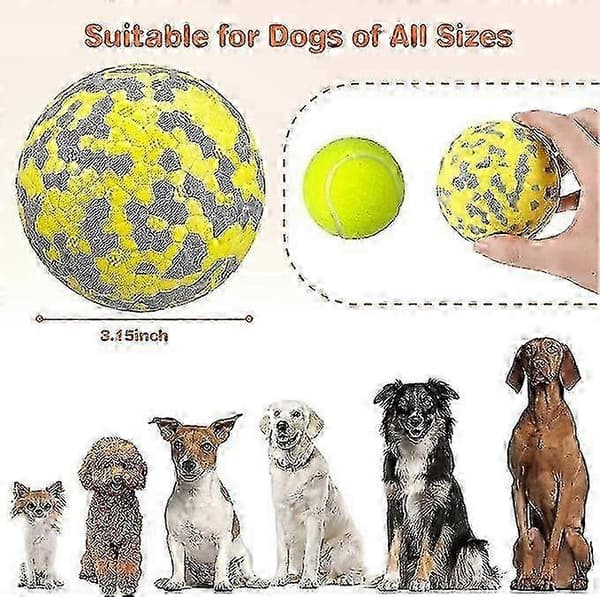 Høy Elastisk Hundeball Leke - Uknuselig for Små og Mellomstore Hunder[HK]