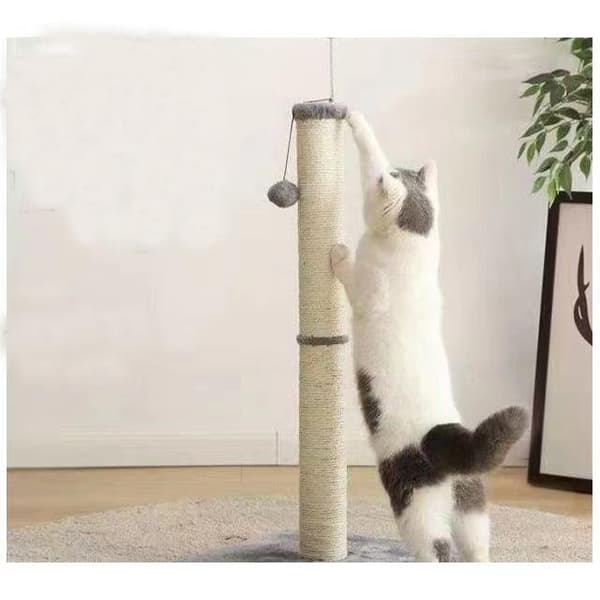 Kattebakke med låg til flere katte [HK] multifärg multicolor