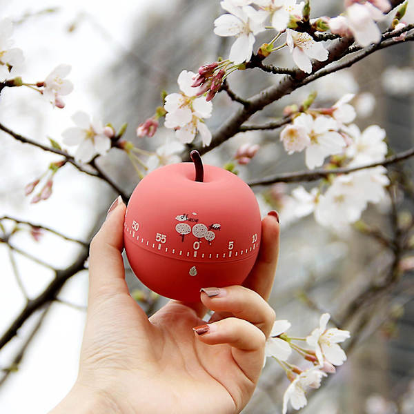 Kjøkken Timer 360 Grader Roterende Plast Mekanisk Timer Alarm[HK] Strawberry
