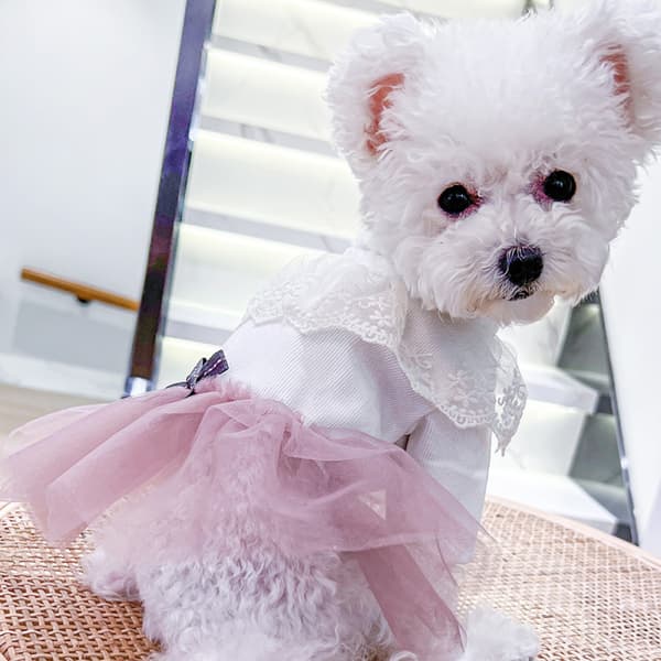 Prinsesse kæledyrstøj til hunde og katte - Mellem størrelse[HK]