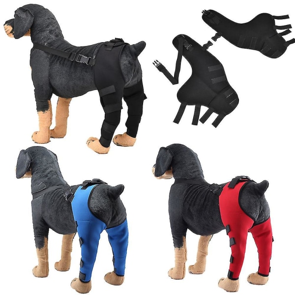 Hund armbågsskydd skyddande dynor husdjur hund bakbensskydd justerbart hund knäskydd benstöd hög kvalitet[HK] L Red