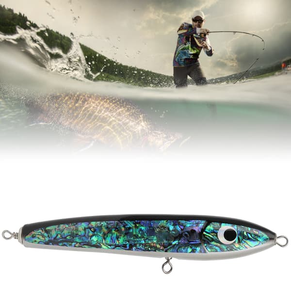 Abalone skall treagn til tunfisk, grouper, dorado, havfiske 23x3.5cm