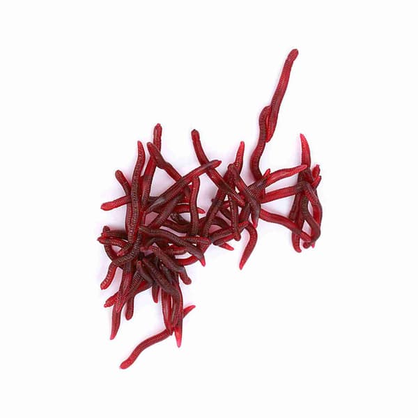 Kunstig fiskelokke 4 cm blød orm 100 stk til karper og bas i rød gummi
