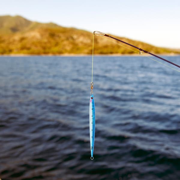 2 st simulerade fiskformade fiskedrag med levande simställning, blå färg