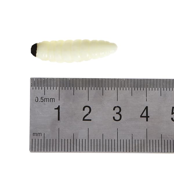 20 STK Myke Larveagn 3cm 1g for Fiske Kunstige Ormagn