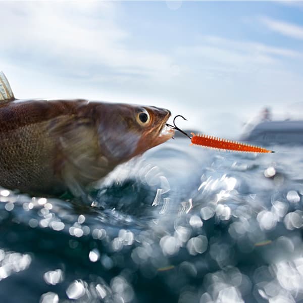 10 stk. bløde ormeformede elastiske fiskelokkemidler med fiskeduft - Fiskegrej