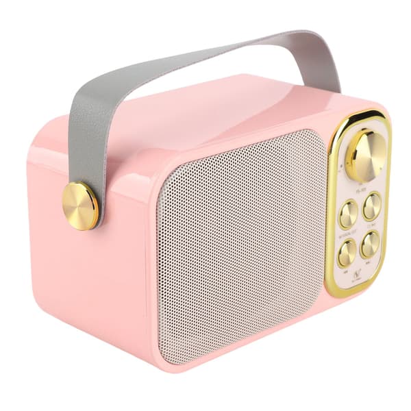 Bärbar Bluetooth Karaoke-maskin med 2 mikrofoner för hem- och utomhusfester