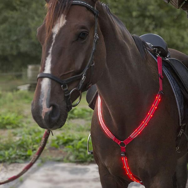LED Hästsele med hög synlighet, justerbar, säkerhetsutrustning för ridning