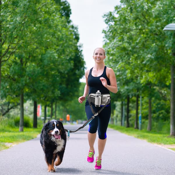 Taljetaske til udendørs løb med flaskeholder og hundegodbidspose