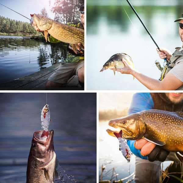 Lixada 5 fiskelokker 4 tommer 6 segmenter diskantkrog med fiskeboks