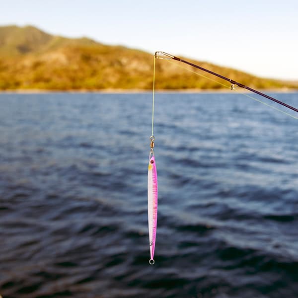 2 st fiskedrag i fiskform, simulerad simställning, levande rosa Q13