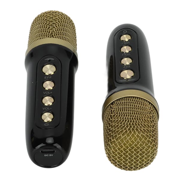 Bärbar Bluetooth Karaoke-maskin med 2 mikrofoner för hem- och utomhusfester