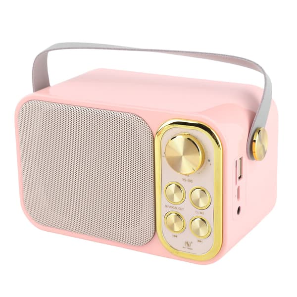 Bärbar Bluetooth Karaoke-maskin med 2 mikrofoner för hem- och utomhusfester
