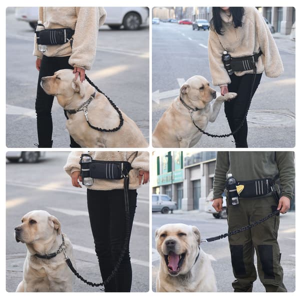 Hundmidjeväska med infällbart reflekterande halsband och bajspåsedispenser