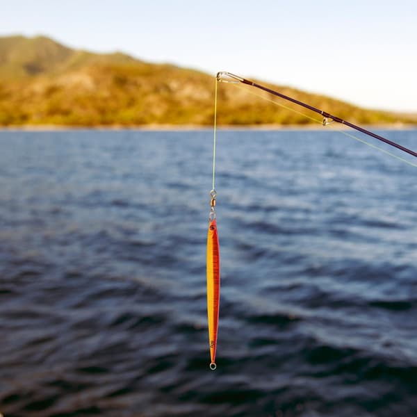 2 st simulerade fiskformade fiskedrag med levande simställning d'or