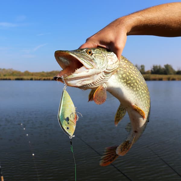 TARUOR 70mm 14,5g synkende agn crankbait med diskantkroge