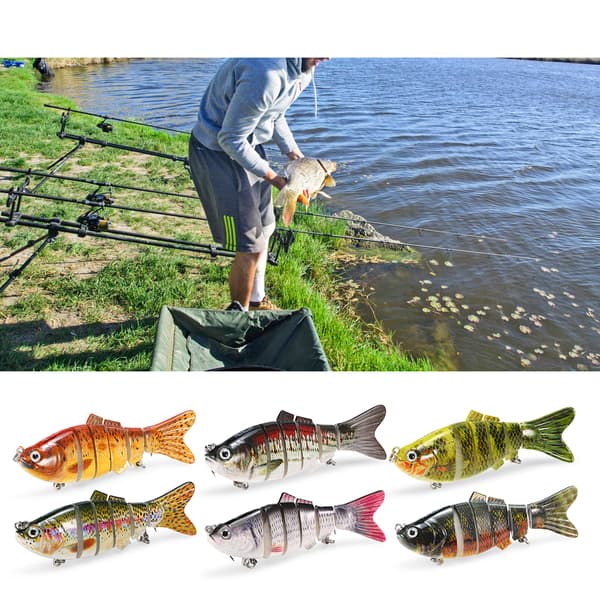Fiskedrag 10cm/20g med 6 segment verklighetstroget konstgjort bete för fiske