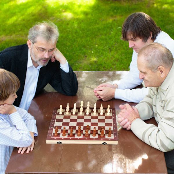 3-i-1 Træskaksæt med Dam og Backgammon, Bærbart til Voksne og Børn