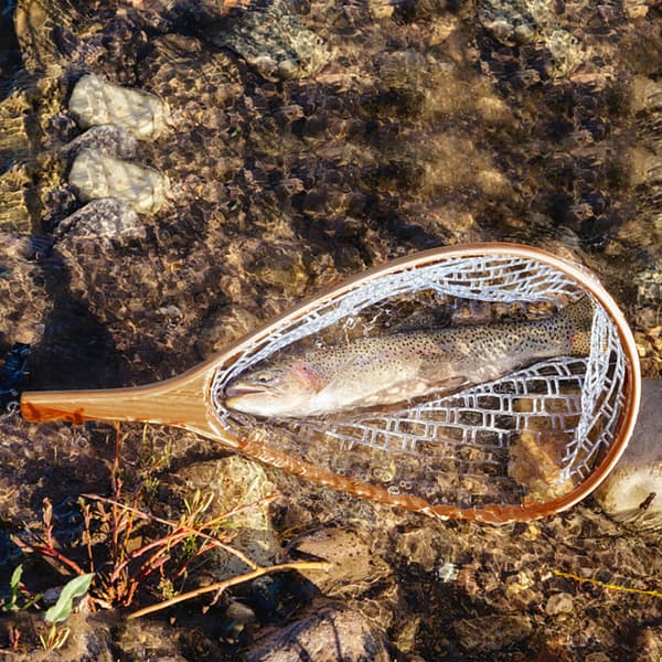 Fiskelandingsnet med elastisk snor til fluefiskeri og udsætning af fisk