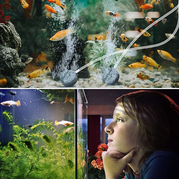 Solar luftpumpe ilter til dam, akvarium, have med slange og boblesten