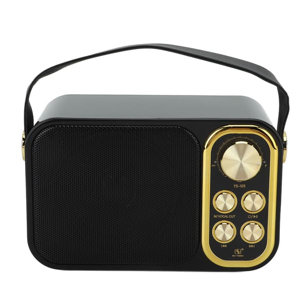 Bärbar Bluetooth Karaoke-maskin med 2 mikrofoner för hem- och utomhusfester