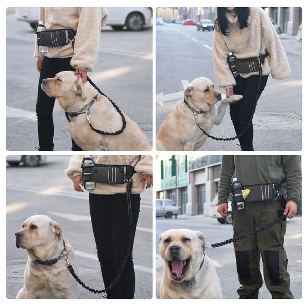 Handsfree hundmidjeväska med infällbart koppel och reflekterande bajspåsedispenser