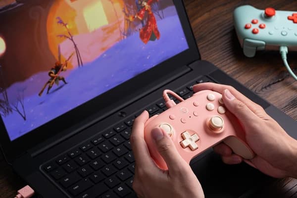 8Bitdo Ultimate 2C Trådbunden Kontroll rosa rosa