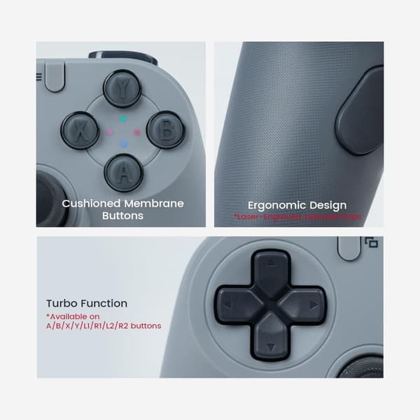 GameSir Tegenaria Lite Trådbunden Spelkontroll För Switch vit vit