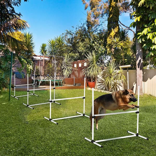 HOMAIRE Agility-set för hund, 4 delar, höjdjusterbart med bärväska Vit