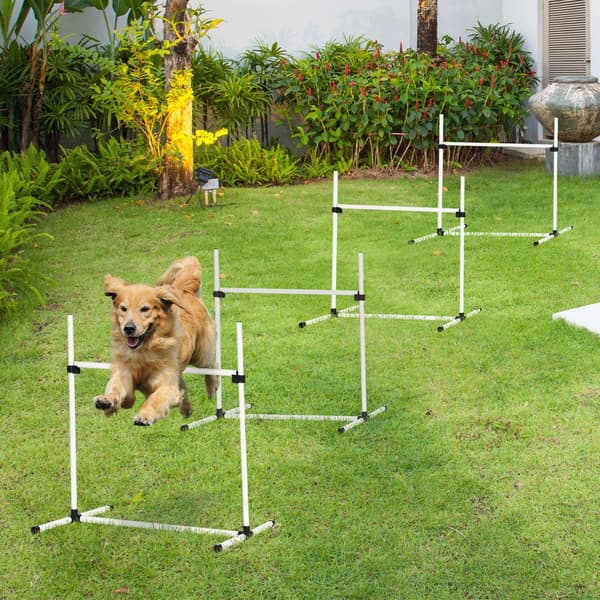 HOMAIRE Agility-set för hund, 4 delar, höjdjusterbart med bärväska Vit
