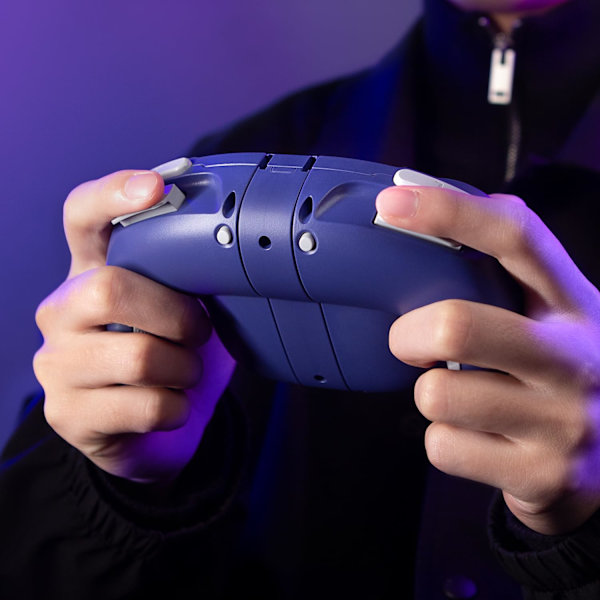 NYXI Wizard Gamecube Switch Trådlös Kontroll lila lila
