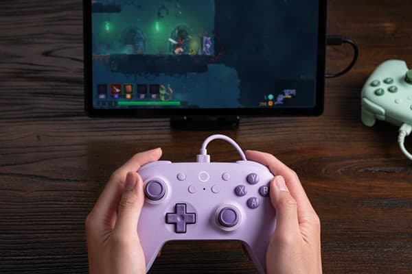 8Bitdo Ultimate 2C Trådbunden Kontroll lila lila