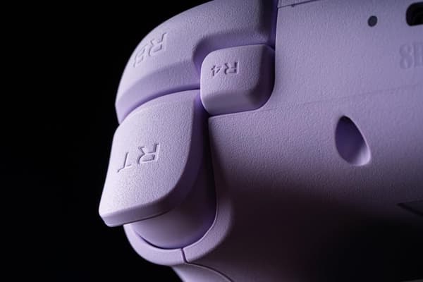 8Bitdo Ultimate 2C Trådbunden Kontroll lila lila